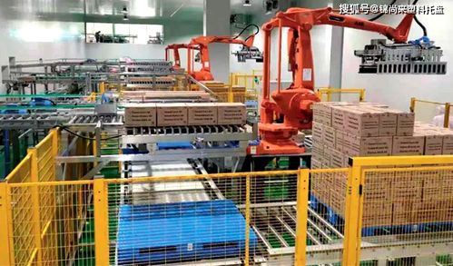 食品冷鏈物流 塑料托盤如何助力冷庫建設，守護冰淇淋好口感
